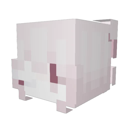 Lilu1026 Minecraft avatar head, 3D render