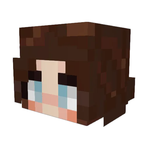 Lilu_Lilu Minecraft avatar head, 3D render