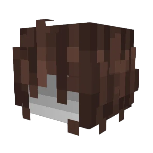 Lilunseen Minecraft avatar head, 3D render