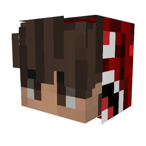 Lilw1ngs Minecraft avatar head, 3D render