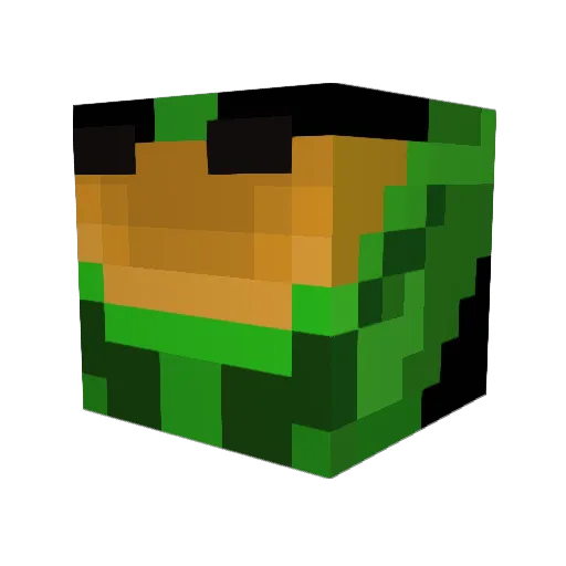 Lilwolf28 Minecraft avatar head, 3D render