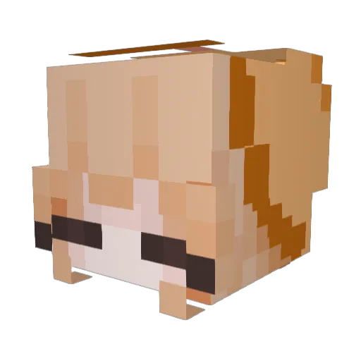 Lily0917 Minecraft avatar head, 3D render
