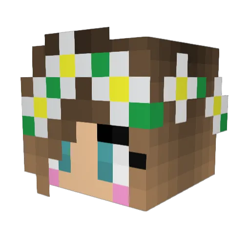 Lily4205596 Minecraft avatar head, 3D render