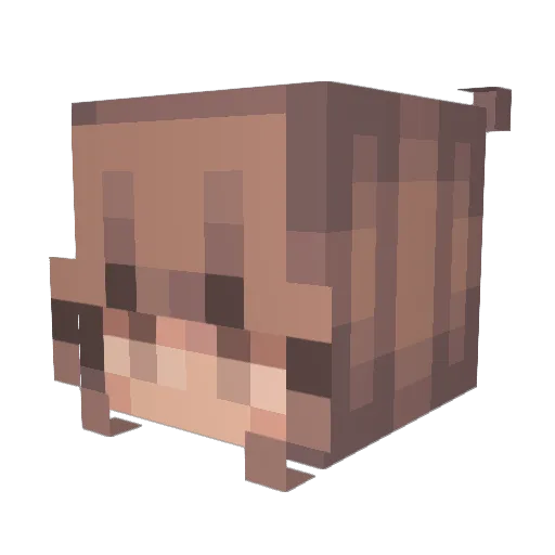 Lily5008 Minecraft avatar head, 3D render