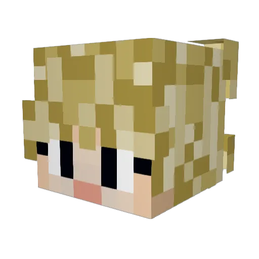 Lily7905 Minecraft avatar head, 3D render