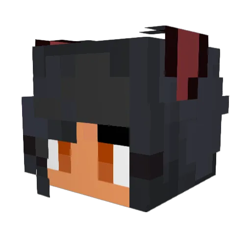 Lily81234 Minecraft avatar head, 3D render