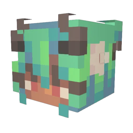 LilyBudgie Minecraft avatar head, 3D render