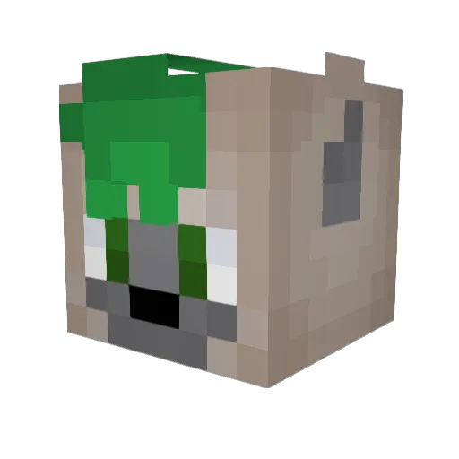 LilyChickne Minecraft avatar head, 3D render