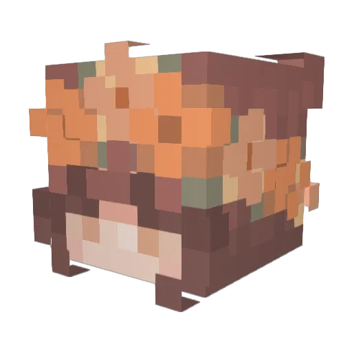 LilyCore Minecraft avatar head, 3D render