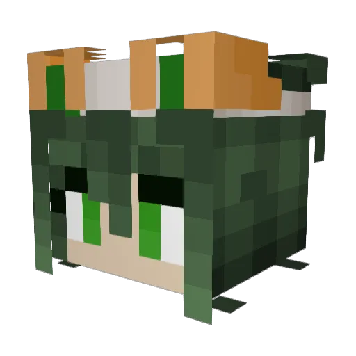 LilyFrog Minecraft avatar head, 3D render
