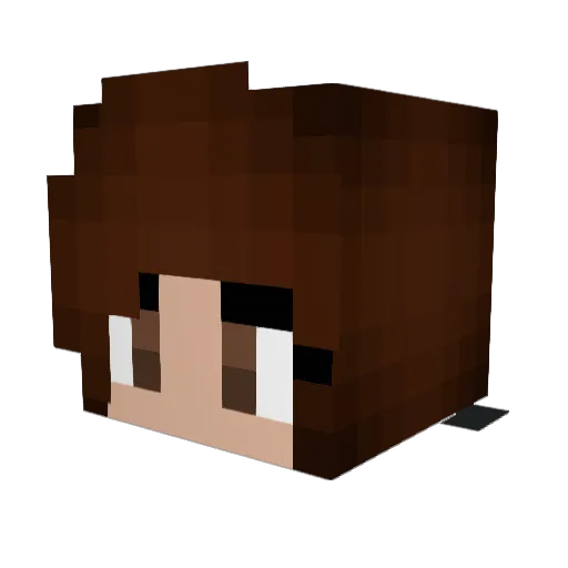 LilyFroggie Minecraft avatar head, 3D render