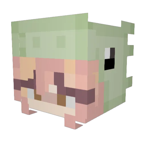 LilyGrace04 Minecraft avatar head, 3D render