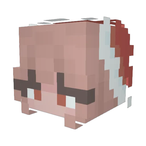 LilyIpad Minecraft avatar head, 3D render