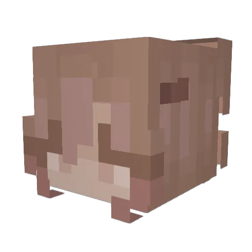 LilyIsFutile Minecraft avatar head, 3D render