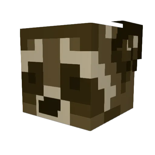 LilyIsThe_BEST Minecraft avatar head, 3D render