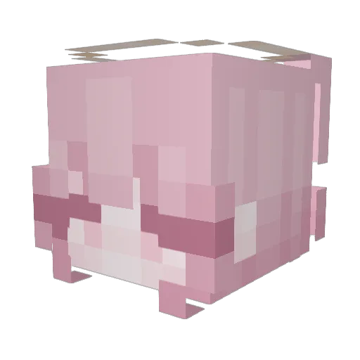 LilyMialee Minecraft avatar head, 3D render