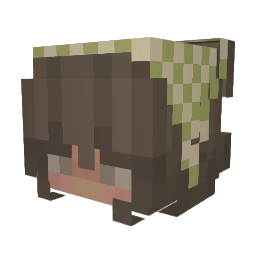 LilyNyx Minecraft avatar head, 3D render