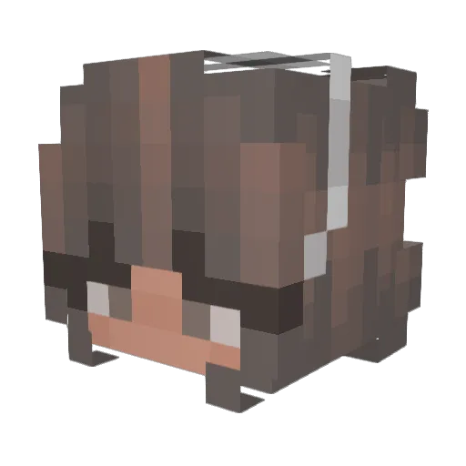 LilyPad_206 Minecraft avatar head, 3D render