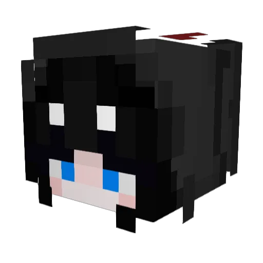 LilyRabbit77 Minecraft avatar head, 3D render