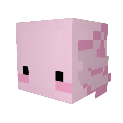 Lily_1003 Minecraft avatar head, 3D render