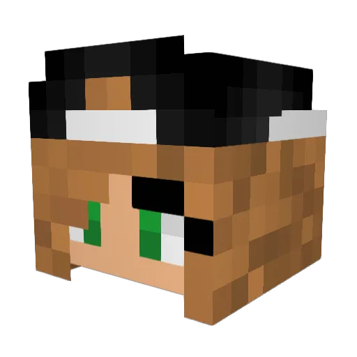 Lily_28 Minecraft avatar head, 3D render