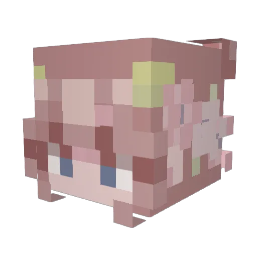 Lily_Flowerz Minecraft avatar head, 3D render