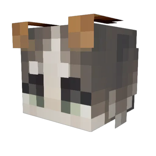 Lily_Puddles Minecraft avatar head, 3D render