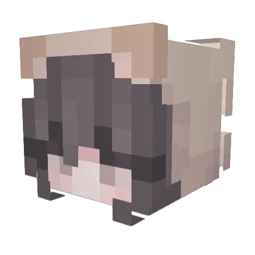 Lily_ms Minecraft avatar head, 3D render