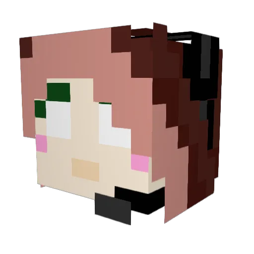 Lily_pad123 Minecraft avatar head, 3D render