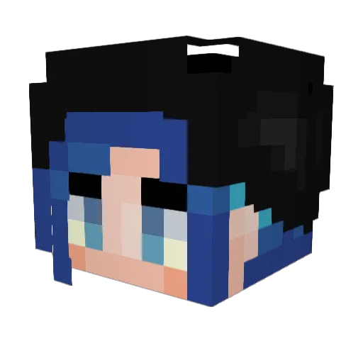 Lilybot2000 Minecraft avatar head, 3D render