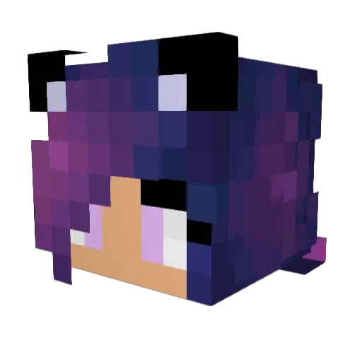 Lilyflower429 Minecraft avatar head, 3D render