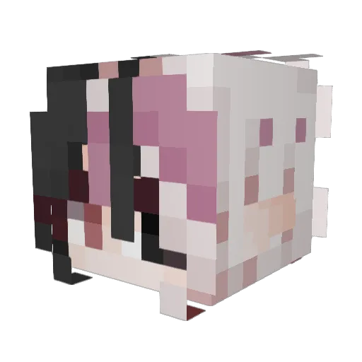LilyofAsh Minecraft avatar head, 3D render