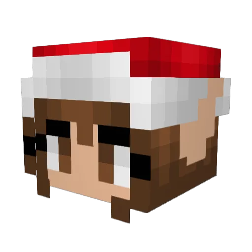 Lilyrule Minecraft avatar head, 3D render