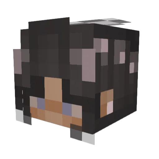 Lilyxo1234 Minecraft avatar head, 3D render