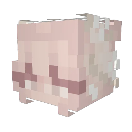Lilyy0 Minecraft avatar head, 3D render