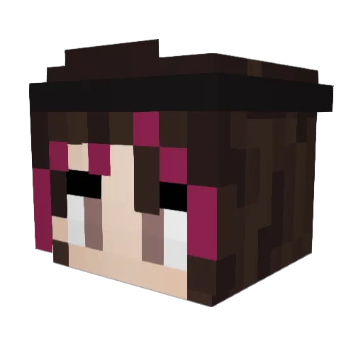 LilyyWonkaaa Minecraft avatar head, 3D render