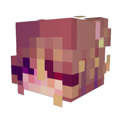 Lilyyyy4 Minecraft avatar head, 3D render