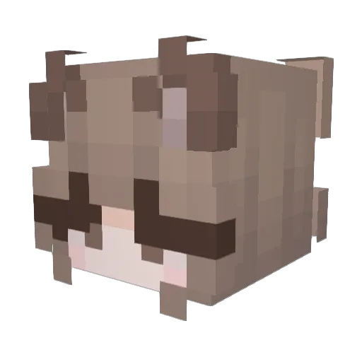 Lilz__ Minecraft avatar head, 3D render