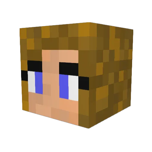 Lilzbee Minecraft avatar head, 3D render
