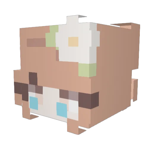 Lilzvalley Minecraft avatar head, 3D render