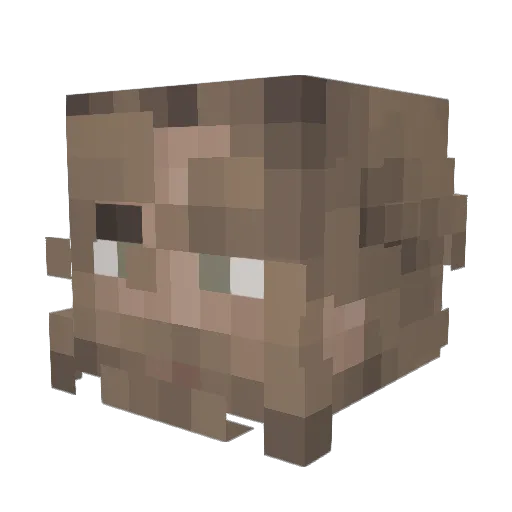 Lima1035 Minecraft avatar head, 3D render