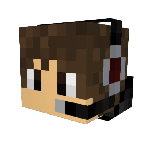 Limbchicken Minecraft avatar head, 3D render