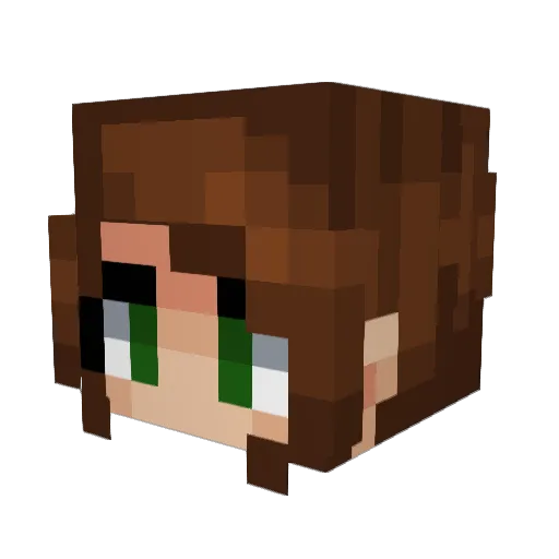 Limbreaker99 Minecraft avatar head, 3D render