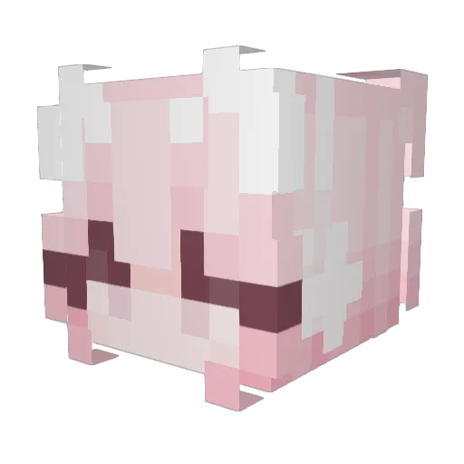 LimeAimee Minecraft avatar head, 3D render