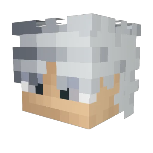 LimeDrop__ Minecraft avatar head, 3D render