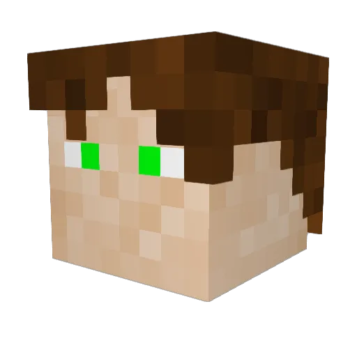LimeGreenWithAnA Minecraft avatar head, 3D render
