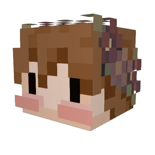 LimeTraveler Minecraft avatar head, 3D render