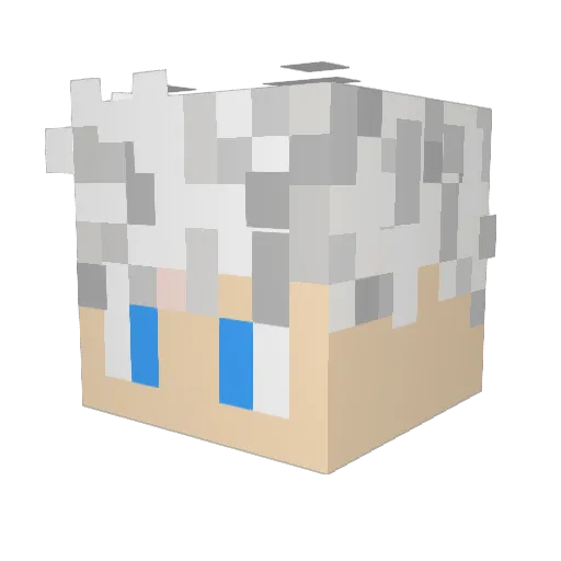 LimiCraft9274 Minecraft avatar head, 3D render