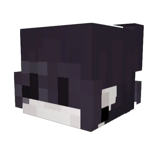 LiminalArchivist Minecraft avatar head, 3D render