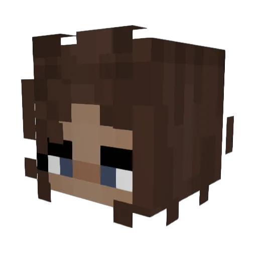 LimoSong Minecraft avatar head, 3D render